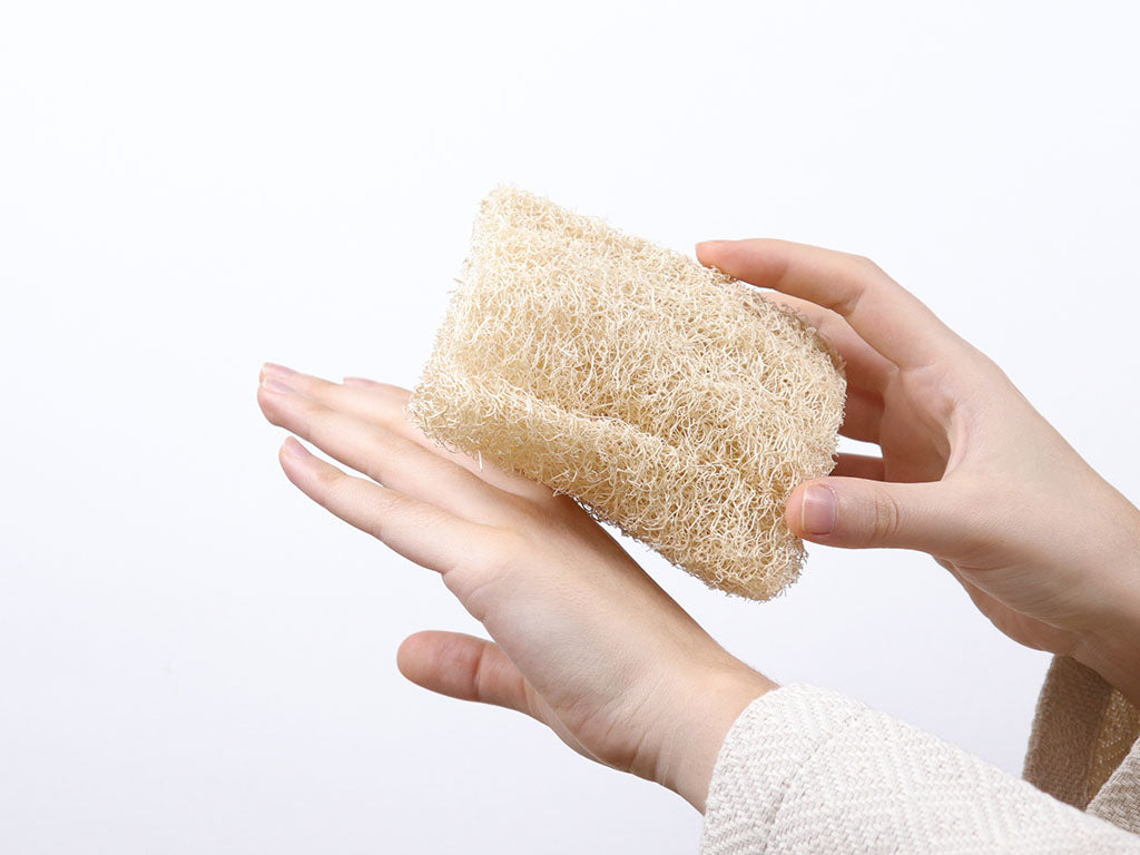 Loofah BoX